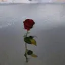 عضو متفاعل عمر10