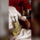عضو متفاعل عمار رياضي
