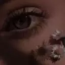 عضو متفاعل ريومه
