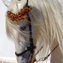 عضو متفاعل سلطااان